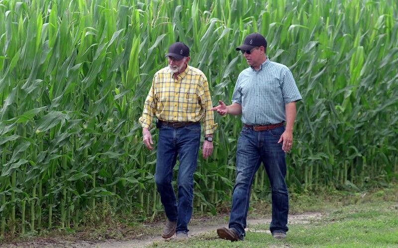 PepsiCo, Walmart seed $120m investment to boost regenerative agriculture