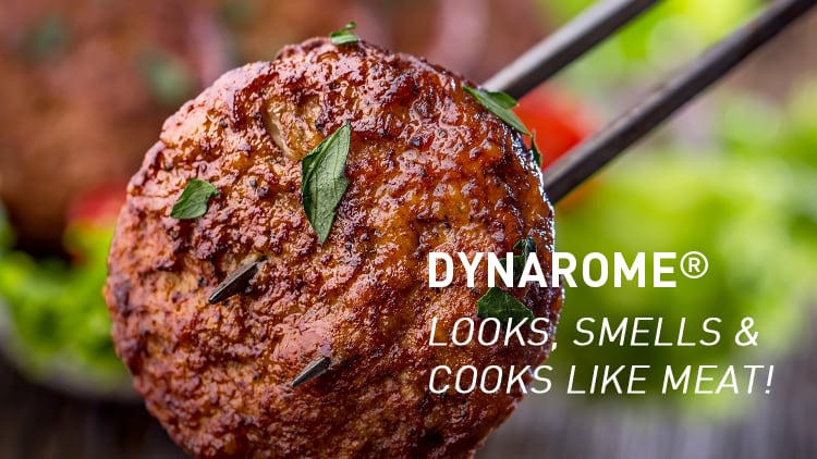 New-Plant-Based-Meat-Analogue-Technology.png