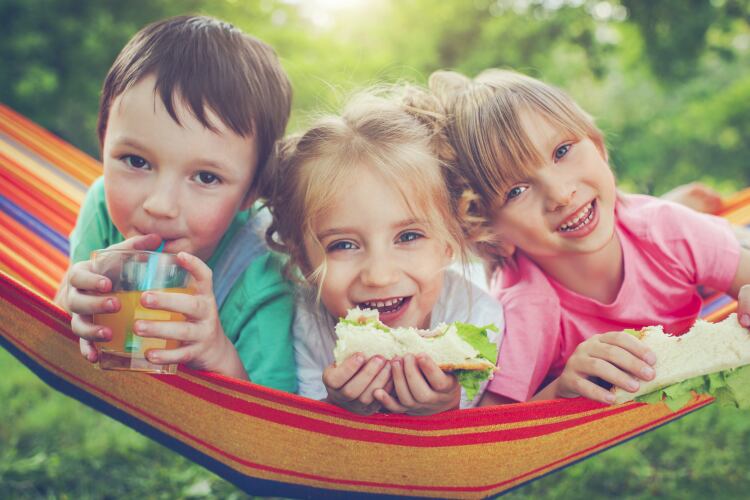 Scientists issue ‘wake-up call’ to food industry over organophosphate esters