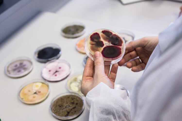 Zymers_Biotechnology_novozymes.jpg