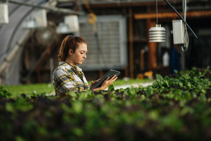 USDA strengthens organic oversight, transparency to protect against fraud, mishandling