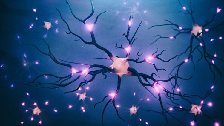 Neural-sensory-cells-Getty.jpg