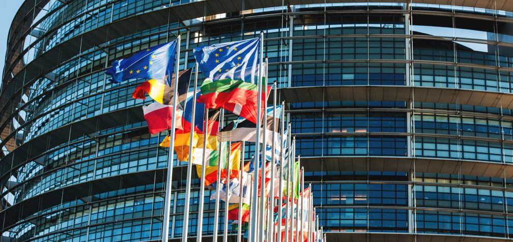 EU-Parliament-vote-flags.jpg
