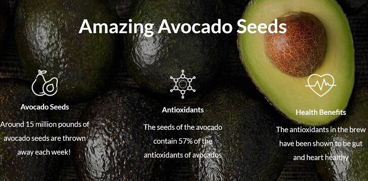 Investing in the Future of Food: Refusing to accept ‘no’ & constantly networking helps Hidden Gems find new uses for avocado seeds