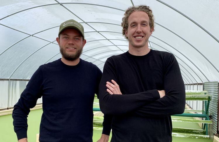 Plant protein that behaves like animal protein? Plantible Foods gears up for 2021 commercial launch