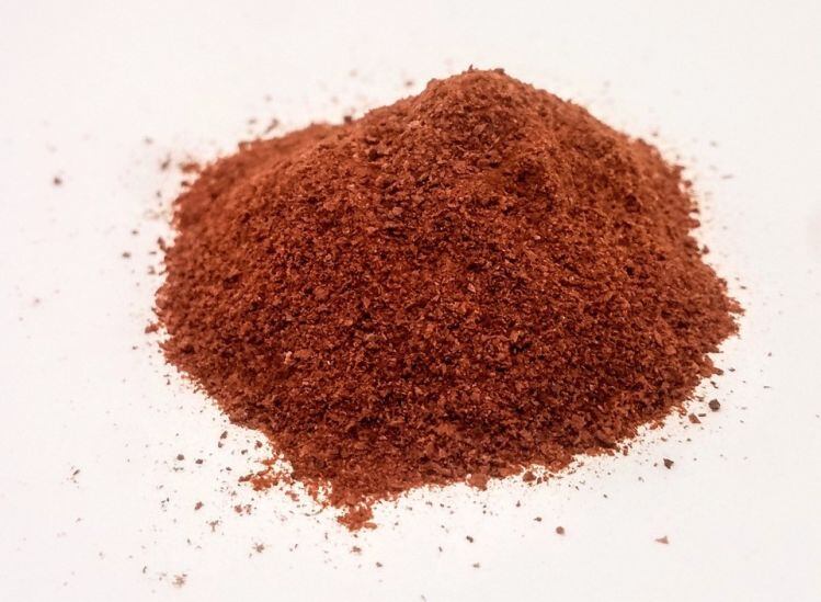 Triton-red-algae.jpg