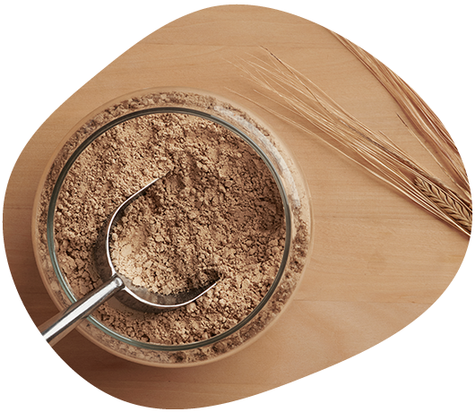 evergrain-ingredients.png