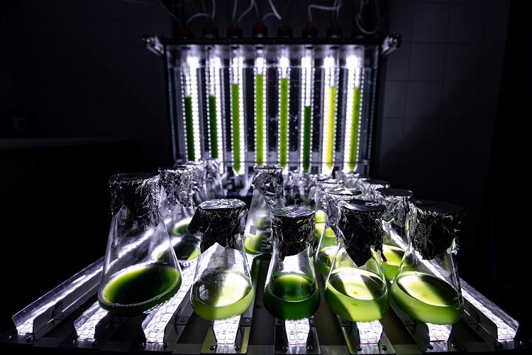Mewery_laboratory-3.jpg