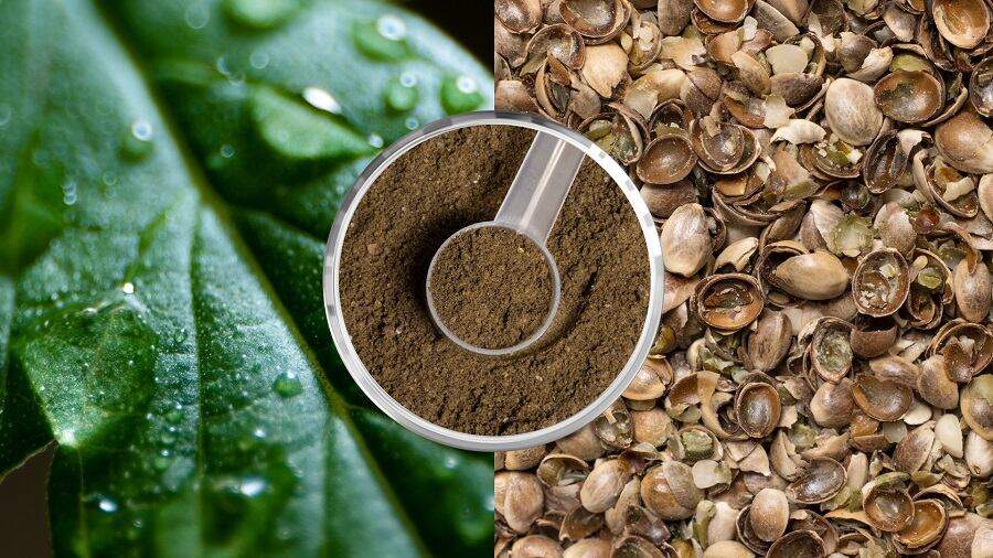 Brightseed-s-Bio-Gut-Fiber-sourced-from-upcycled-hemp-hulls-supports-gut-health.jpg