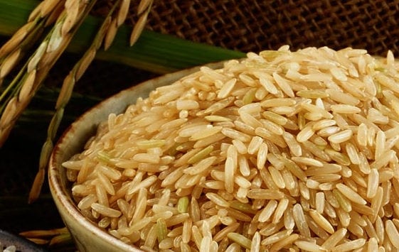 Axiom-rice.jpg