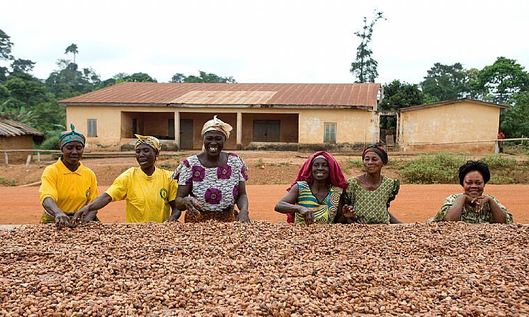 Fairtrade launches climate-focused partnership, urges COP26 to do more
