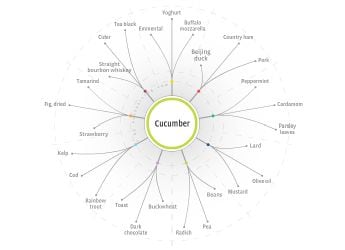 Flavor-tree-foodpairing.jpg
