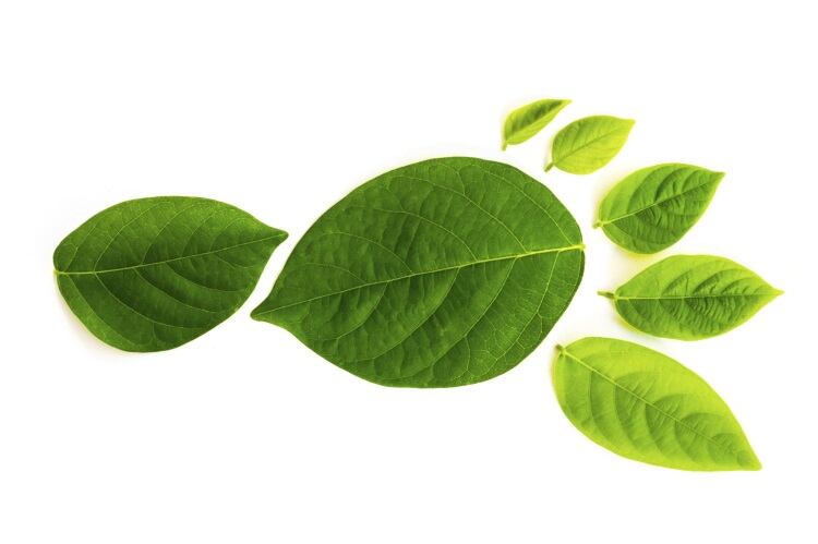 US processors to share environmental best practices