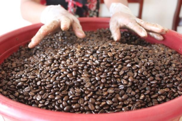 VEGA-beans.jpg