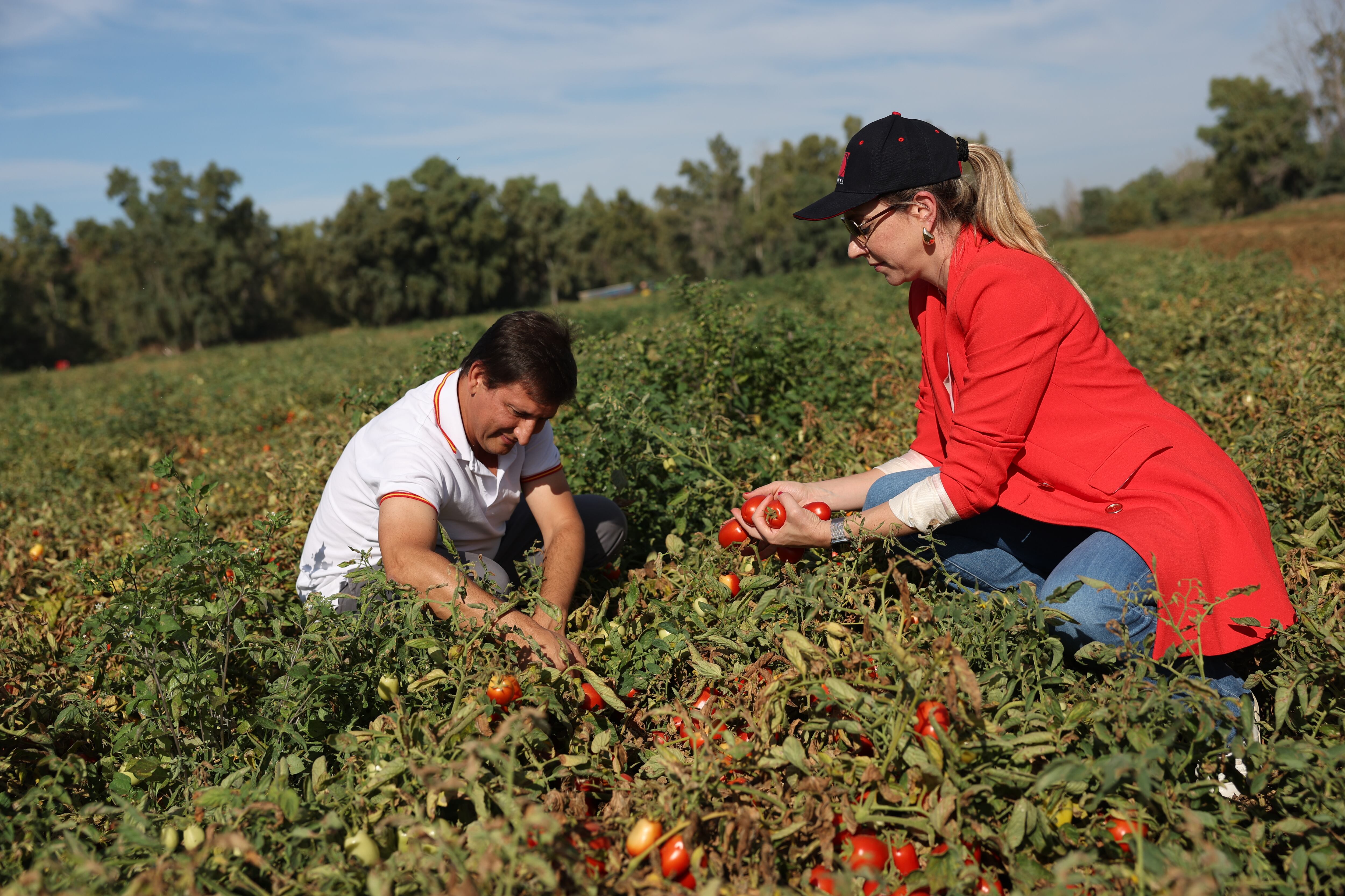 Monica Souza in the tomato fields in Spain looking at the crops