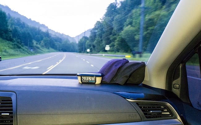 mush_incar.jpg