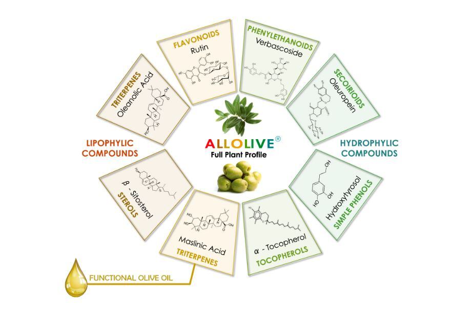 NatacSolutions_fullplantprofile.jpg