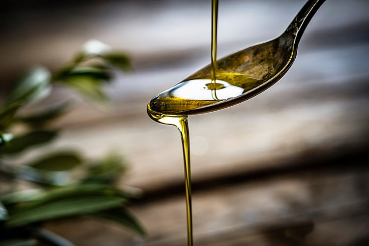 Virgin olive oil intake linked to cognitive preservation via the gut