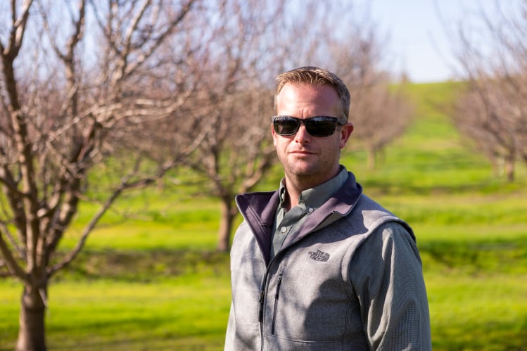 Self-pollinating almond varieties