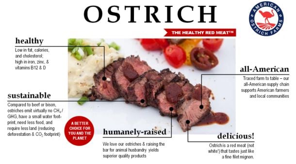 American-ostrich-farms.jpg