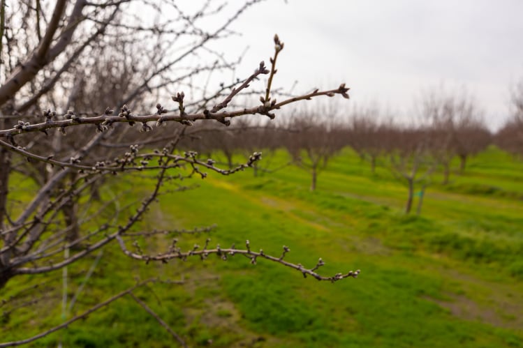 Micro-irrigation