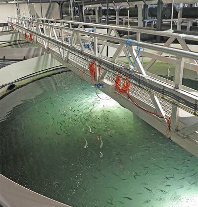 Pic-courtesy-of-Kruger-Kaldnes-RAS-and-Veolia-Water-Technologies.jpg