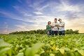 Sourcing Soy in Brazil’s Cerrado: Can Farmers and Forests Coexist? 