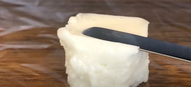 PhytoFat.jpg