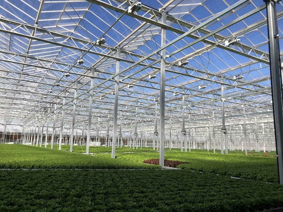 Gotham_Greens_Pullman_Gotham_Greens_main.jpg