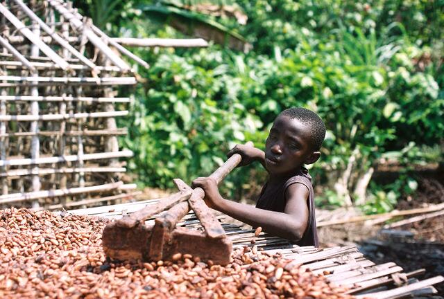 Child-Labour-in-cocoa-growing-communities.jpg