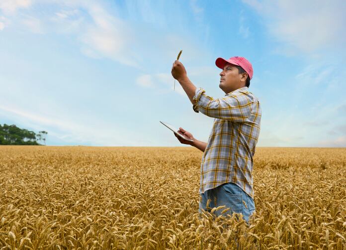 AHA Heart-Check validates ‘breakthrough innovation’ behind HealthSense High-Fiber Wheat Flour