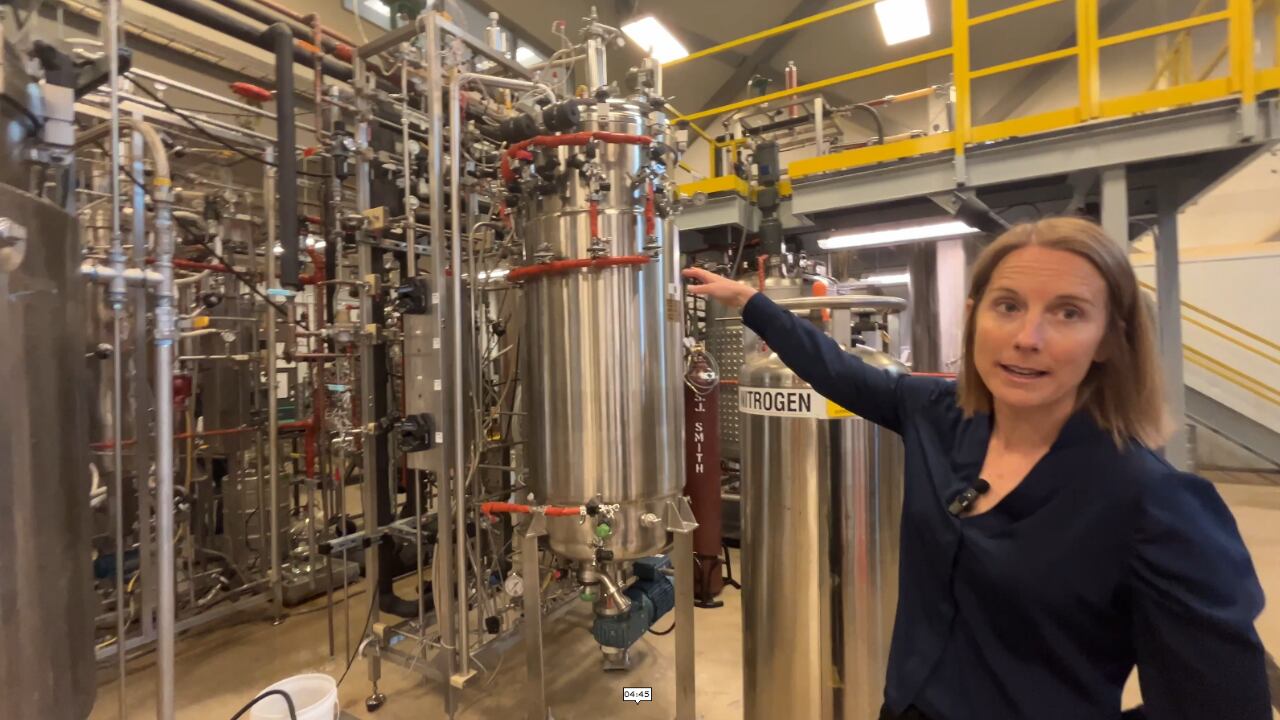 Precision fermentation scale-up: Inside a pilot plant for next-gen food ingredients