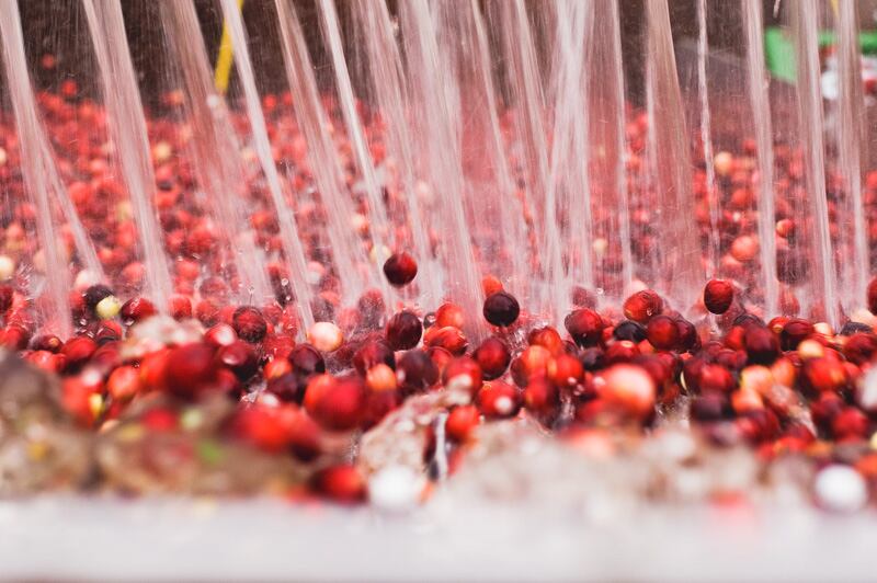 Qualified-health-claims-will-buoy-cranberry-sales-supplier-says.jpg