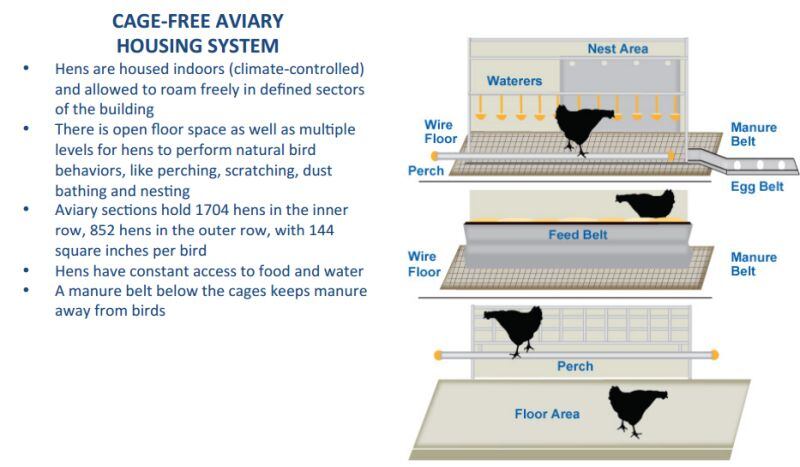 cage-free-eggs-system.jpg