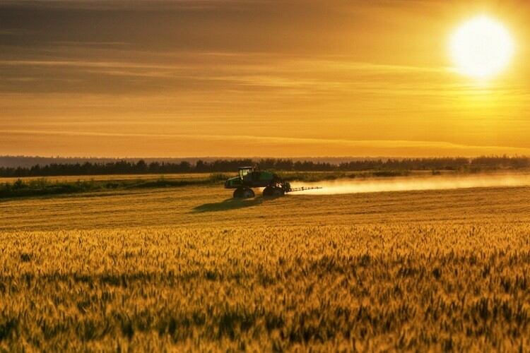 Climate change will offset CO2 crop yield gains: ‘We need to breed and engineer future-proof crops’