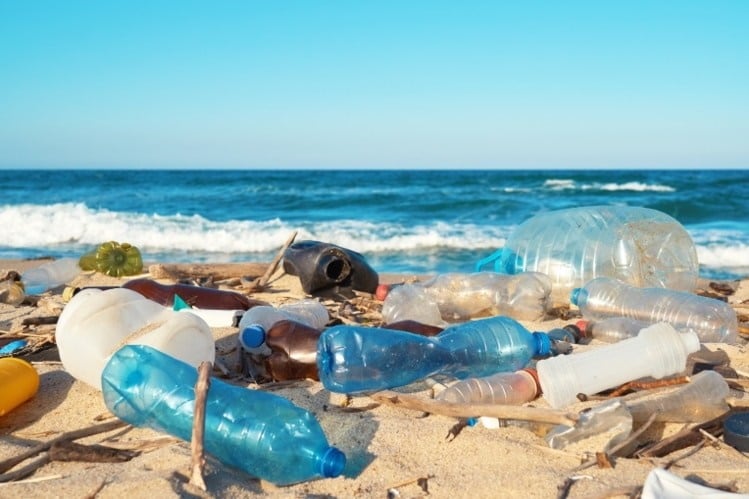 Scientists develop edible, biodegradable, anti-microbial plastic for food packaging