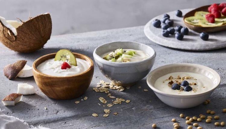 Chr. Hansen’s LGG probiotic now available for fermented plant-based yogurts and other products