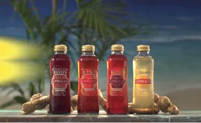 Kombucha-reeds.jpg