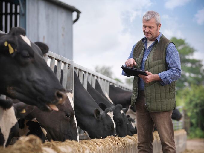 Complexity of measuring and reducing emissions in the dairy industry 