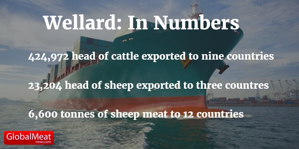 Wellard-cattle-exporter.png
