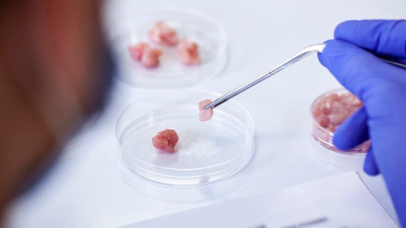 UC-Davis-opens-alt-protein-center-to-fill-the-impending-gap-between-meat-demand-production.jpg