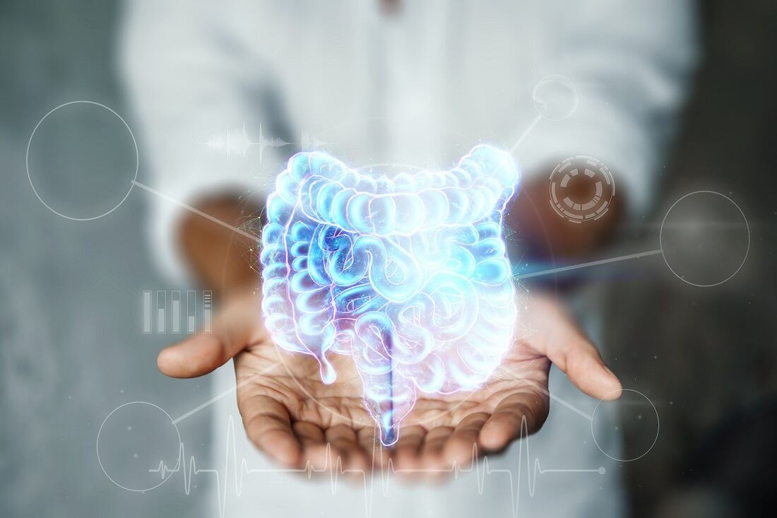 Study: Common food additive found to disturb beneficial bacteria in the gut