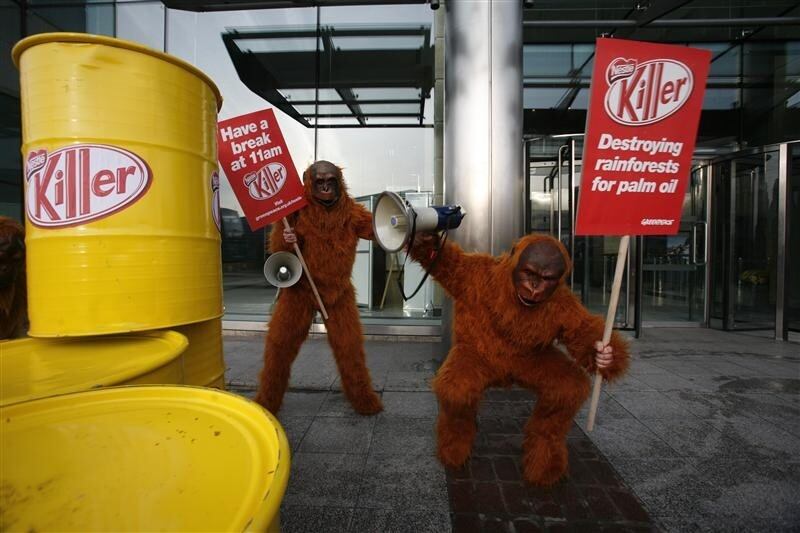 Greenpeace-campaign-at-Nestle-UK-HQ-Greenpeace-Jiri-Rezac.jpg