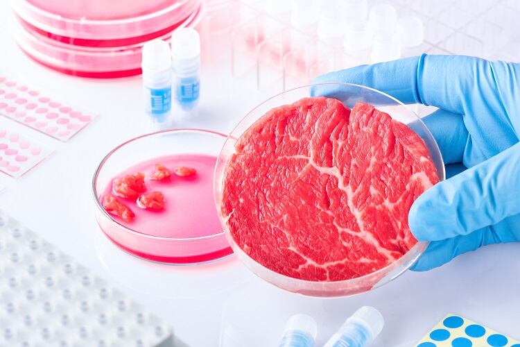 A ‘pioneering’ process for spent cell culture media: Rejuvenation tech expected to bring down price of cultivated meat
