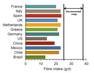 Fiber-intakes-T-L.jpg