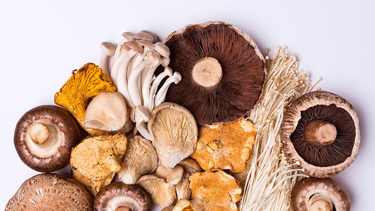 Clean-label-Umami-and-Kokumi-solutions.jpg