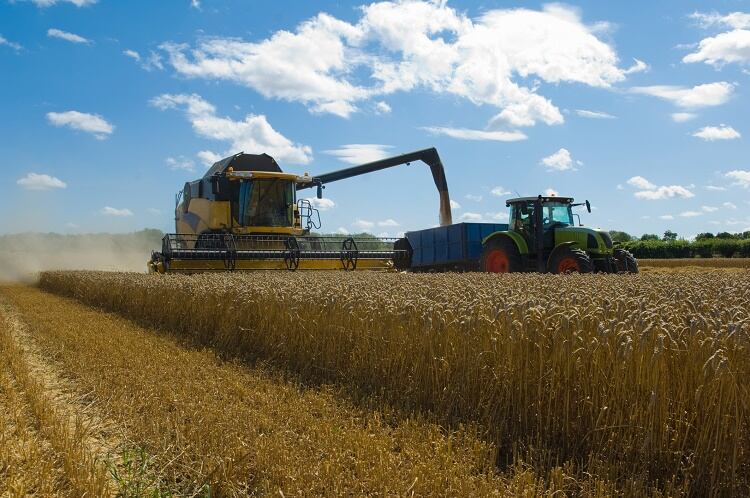 Supply-chain-corn-GettyImages-Henry-Arden.jpg