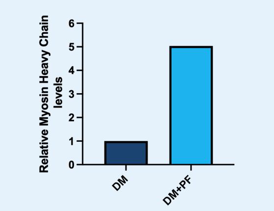 graph-profuse.png