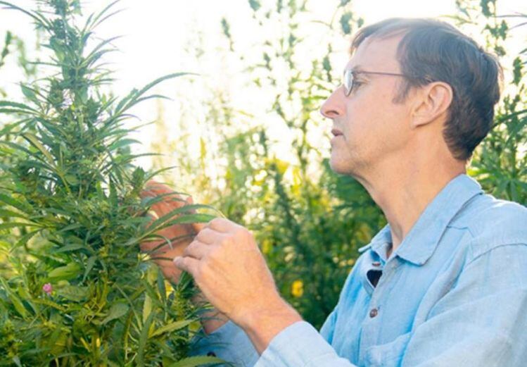 RE Botanicals founder talks hemp-derived CBD: ‘I’ve never seen a product that has this much grass roots momentum’