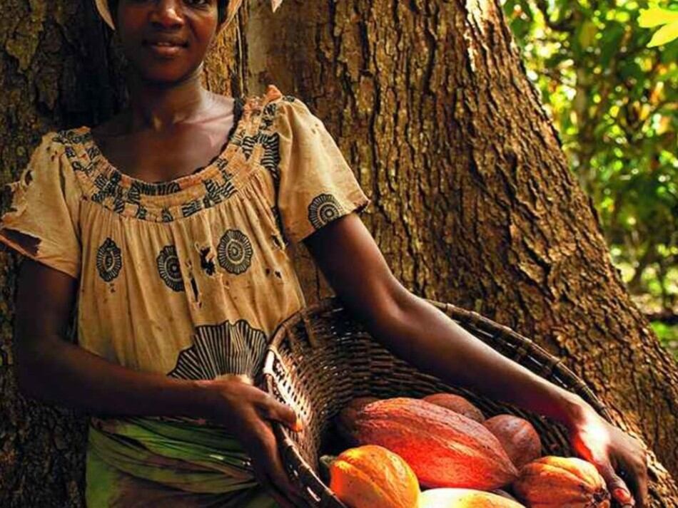Nestlé announces innovative plan to tackle child labour risks in cocoa sector